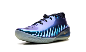 nike-air-zoom IQ6206-500
