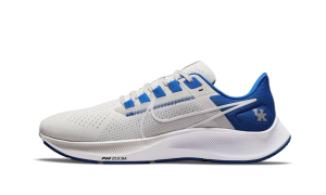 Nike Air Zoom Pegasus 38 “Kentucky” (DJ0830-001)