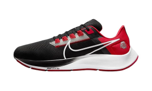 Nike Air Zoom Pegasus 38 “Ohio State” (DJ0837-001)