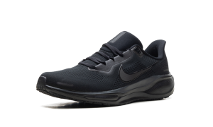 nike-air-pegasus FD2722-001
