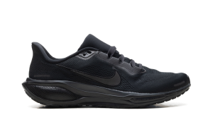 nike-air-pegasus FD2722-001