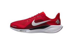 Nike Air Zoom Pegasus 41 “Ohio State” (IB3254-600)
