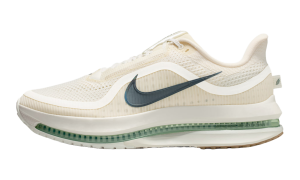 Nike Air Zoom Pegasus Premium “Pale Ivory Jade Horizon” (HQ2592-106)