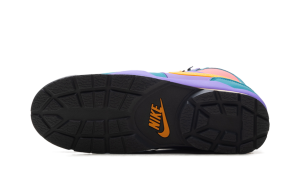 nike-baltoro IH4450-300