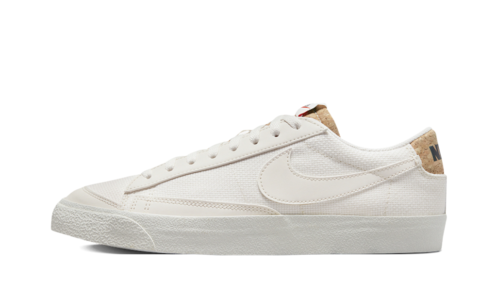 nike-blazer DV7231-001