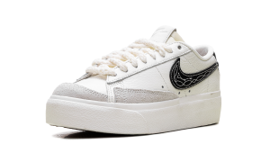 nike-blazer FJ4556-133