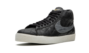 nike-sb 313962-001