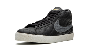 nike-sb 313962-001