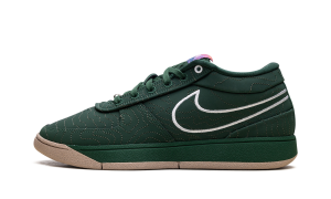 Nike Book 1 “Flagstaff” (FJ4249-300)