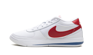 Nike Book 1 “Forrest Gump” (FJ4249-105)