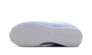 nike-cortez FJ2530-400