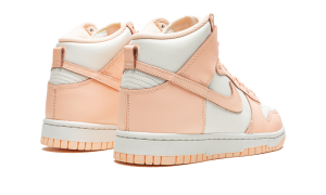 nike-dunk DD1869-104