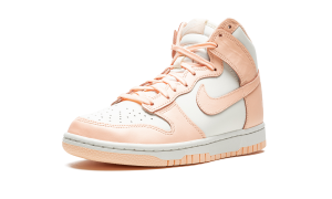 nike-dunk DD1869-104