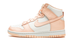 nike-dunk DD1869-104