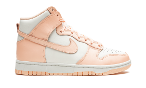 nike-dunk DD1869-104