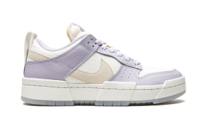 nike-dunk DJ3077-100