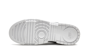 nike-dunk DJ6226-100