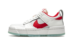 nike-dunk CK6654-101