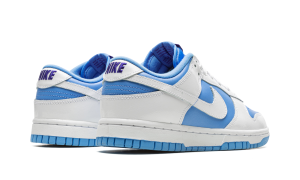 nike-dunk DJ9955-101