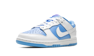 nike-dunk DJ9955-101