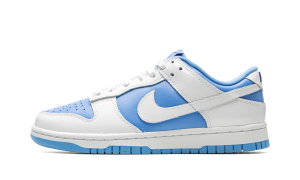 nike-dunk DJ9955-101