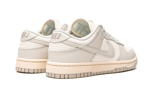 nike-dunk DD1503-107