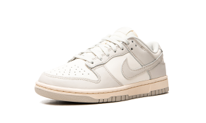 nike-dunk DD1503-107