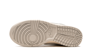 nike-dunk DD1503-107