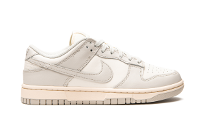 nike-dunk DD1503-107