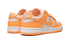 nike-dunk DD1503-801