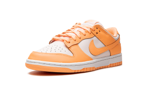 nike-dunk DD1503-801