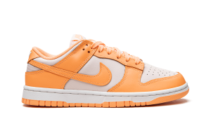 nike-dunk DD1503-801