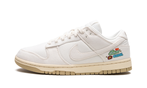 Nike DUNK LO MNS “The Future is Equal” (FD0868-133)