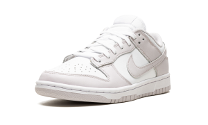 nike-dunk DD1503-116