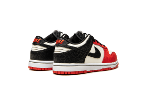 nike-dunk DC9564-100