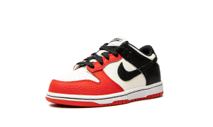 nike-dunk DC9564-100