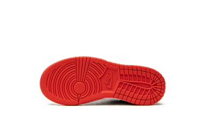 nike-dunk DC9564-100