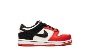nike-dunk DC9564-100