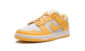 nike-dunk DD1503-002