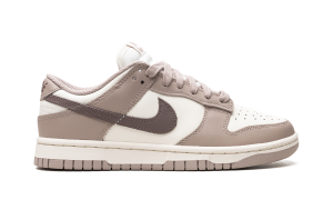nike-dunk DD1503-125