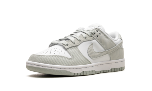 nike-dunk FN7658-100