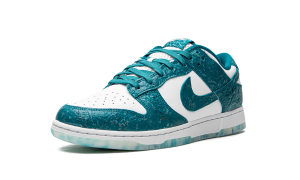 nike-dunk DV3029-100
