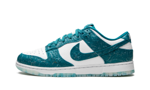 nike-dunk DV3029-100