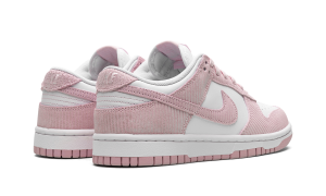 nike-dunk FN7167-100