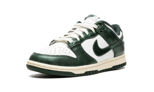 nike-dunk DQ8580-100