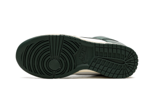 nike-dunk DQ8580-100