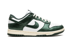 nike-dunk DQ8580-100