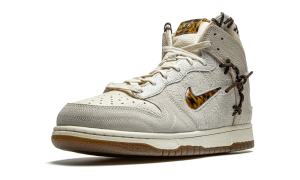nike-dunk CZ8125-100