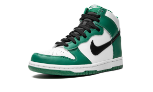 nike-dunk DR0527-300