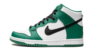 nike-dunk DR0527-300